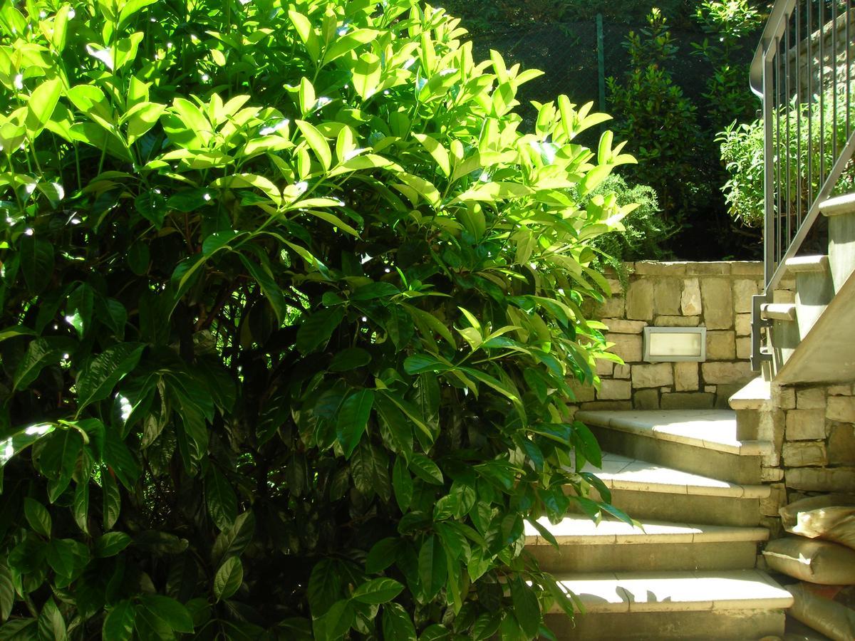 Bed & Breakfast La Folaga